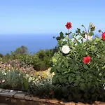 Panorama Case de vacanță *