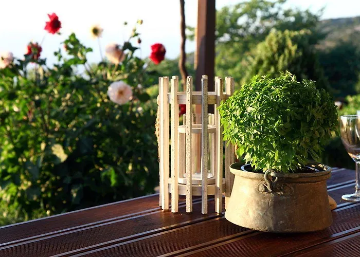 Panorama Case de vacanță