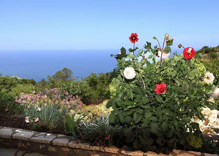 Panorama Case de vacanță *