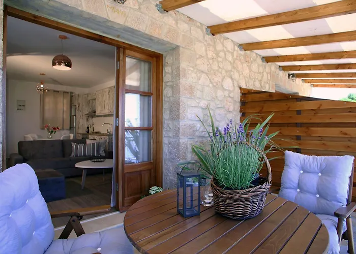 Panorama Case de vacanță